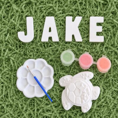 Personalised name and turtle painting craft kit