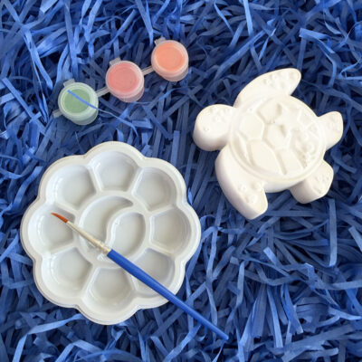 Turtle mini painting craft kit